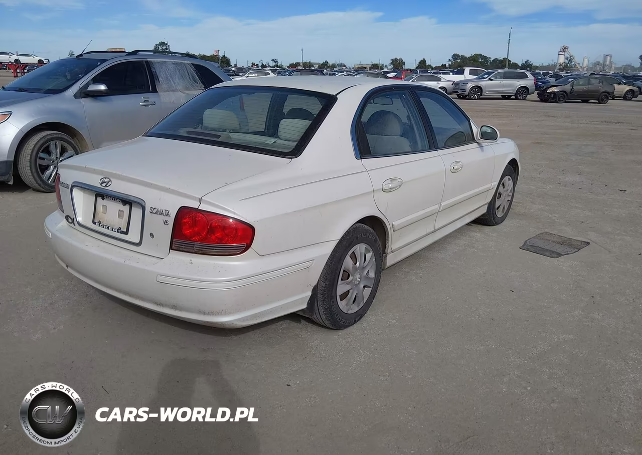 2004 Hyundai Sonata VIN:KMHWF25HX4A086481 - 4