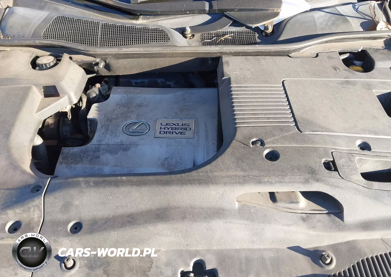 2010 Lexus Rx 450H VIN:JTJBC1BA0A2014446 - 10