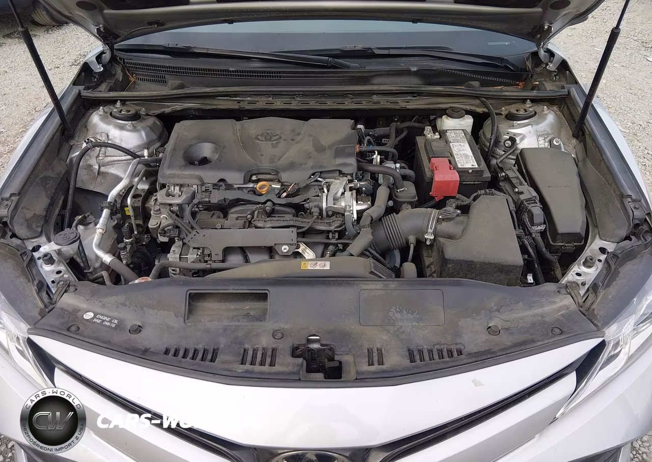2020 Toyota Camry Le VIN:4T1C11AKXLU363253 - 10