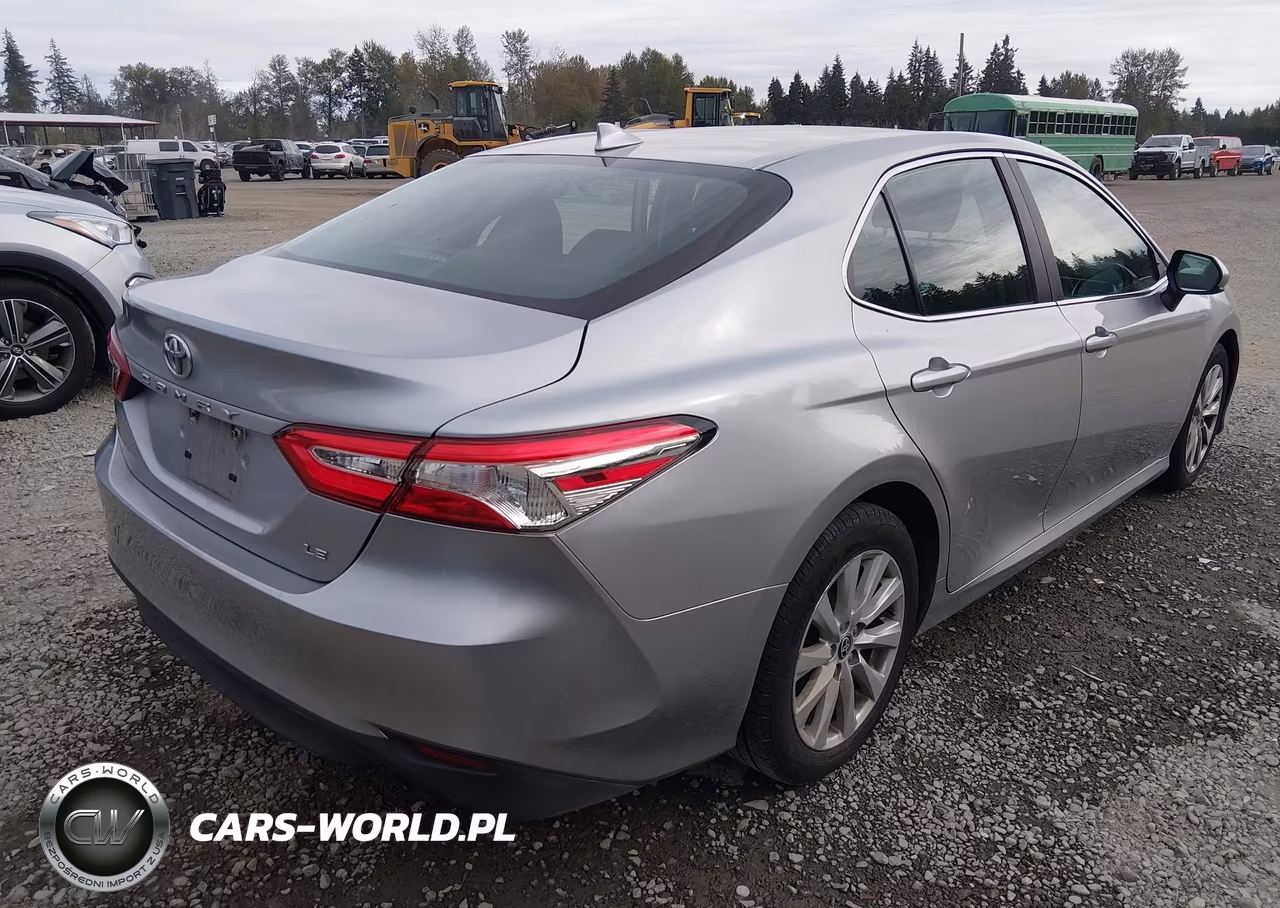 2020 Toyota Camry Le VIN:4T1C11AKXLU363253 - 4