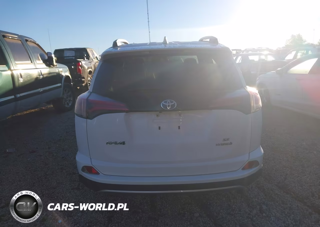 2017 Toyota Rav4 Hybrid Se VIN:JTMJJREV6HD092665 - 17