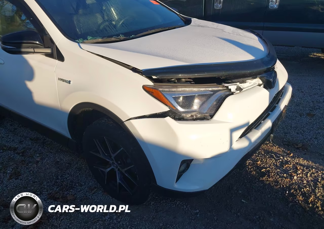 2017 Toyota Rav4 Hybrid Se VIN:JTMJJREV6HD092665 - 18