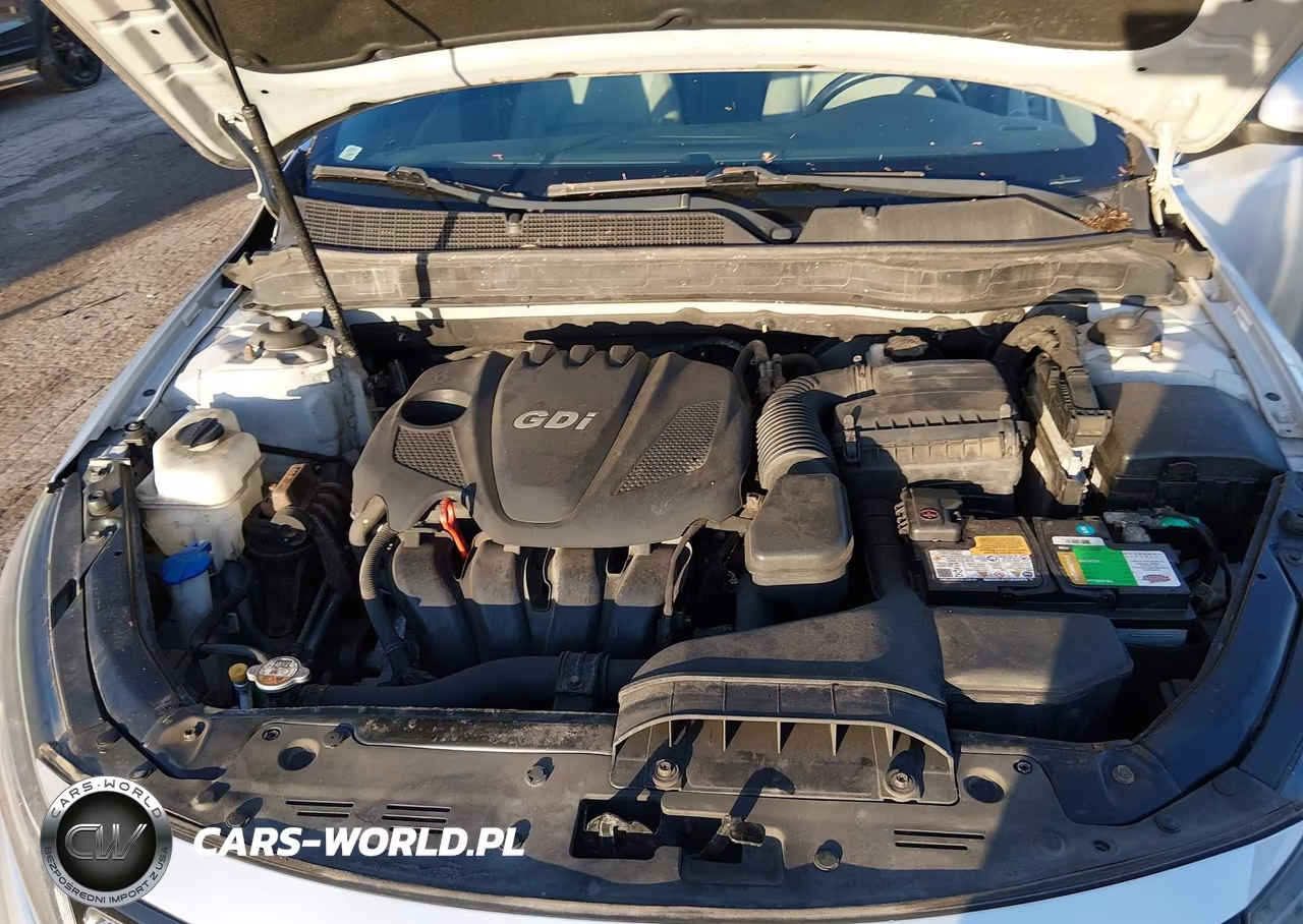 2015 Kia Optima Ex VIN:5XXGN4A75FG394394 - 10