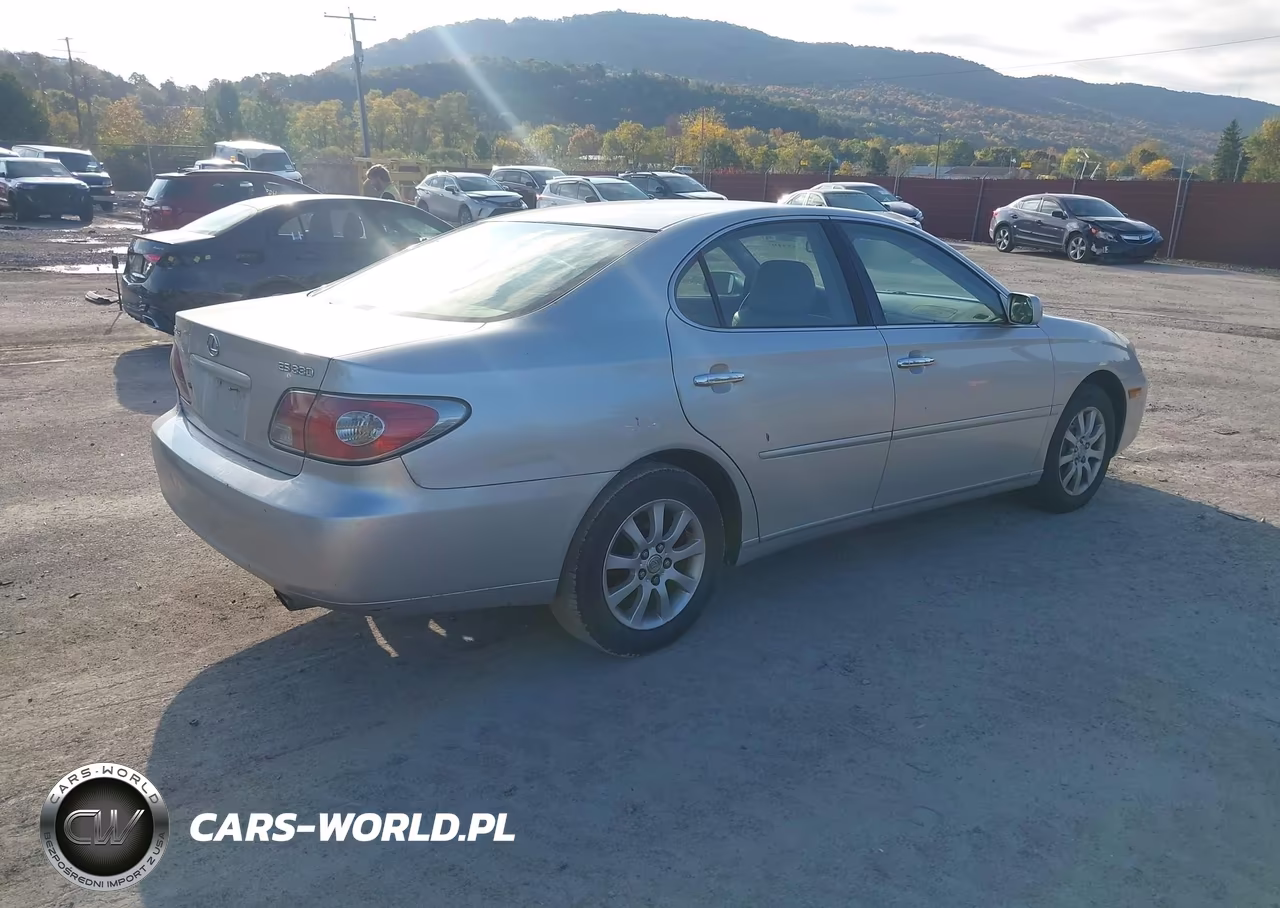 2004 Lexus Es 330 VIN:JTHBA30G540007552 - 4
