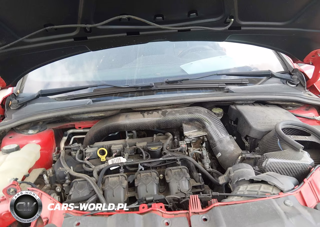 2013 Ford Focus St VIN:1FADP3L93DL264364 - 10