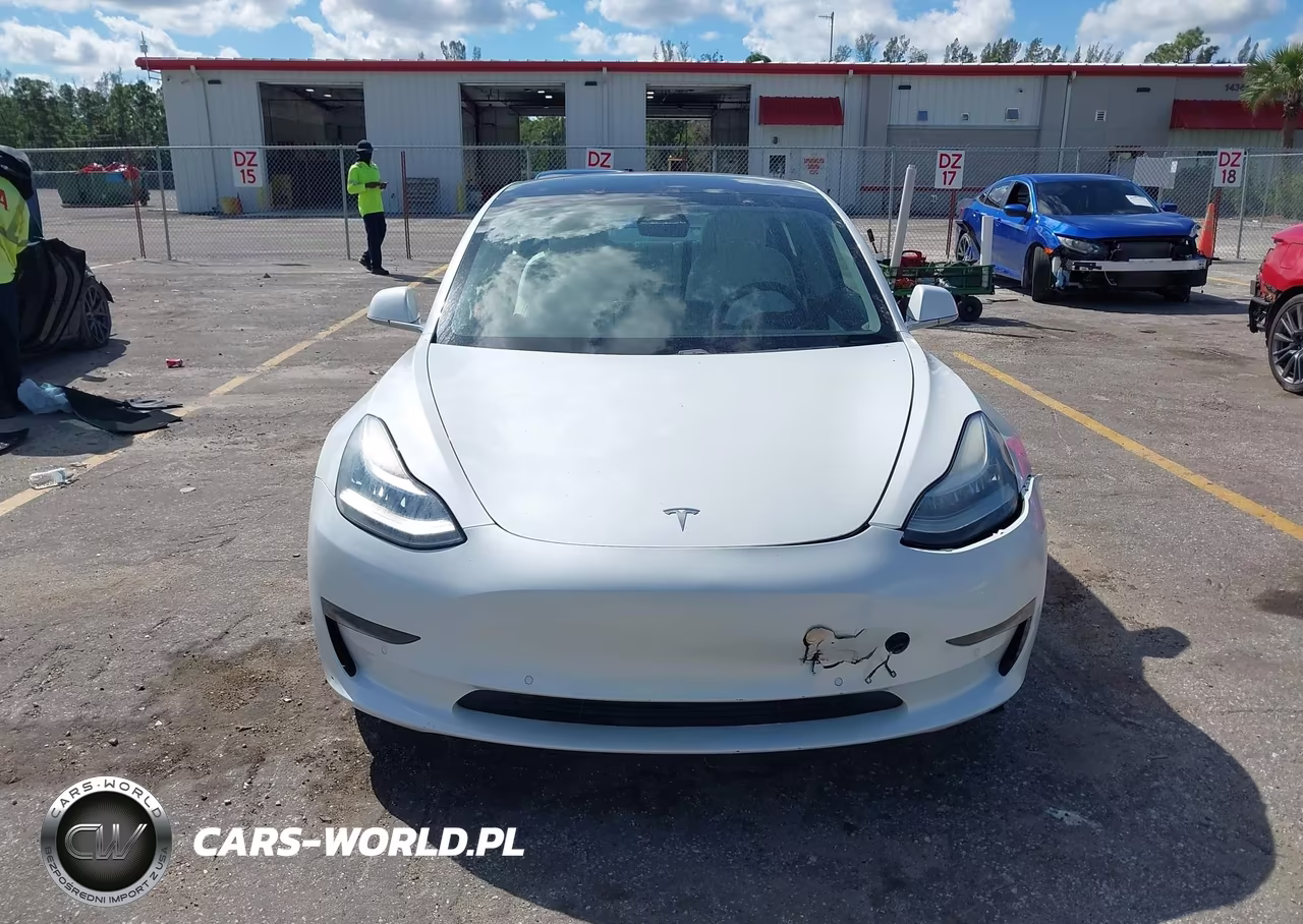 2020 Tesla Model 3 Standard Range Plus Rear-Wheel Drive-Standard Range Rear-Wheel Drive VIN:5YJ3E1EA1LF718197 - 12