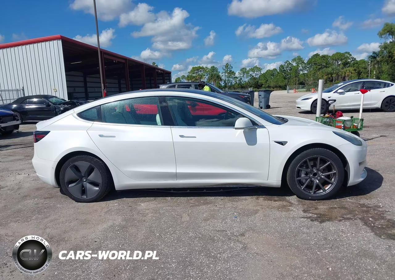 2020 Tesla Model 3 Standard Range Plus Rear-Wheel Drive-Standard Range Rear-Wheel Drive VIN:5YJ3E1EA1LF718197 - 13