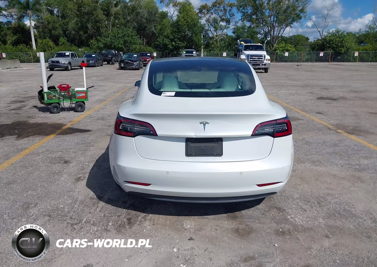 2020 Tesla Model 3 Standard Range Plus Rear-Wheel Drive-Standard Range Rear-Wheel Drive VIN:5YJ3E1EA1LF718197 - 16