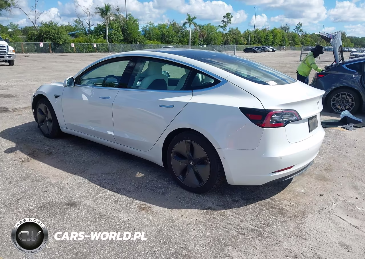 2020 Tesla Model 3 Standard Range Plus Rear-Wheel Drive-Standard Range Rear-Wheel Drive VIN:5YJ3E1EA1LF718197 - 3