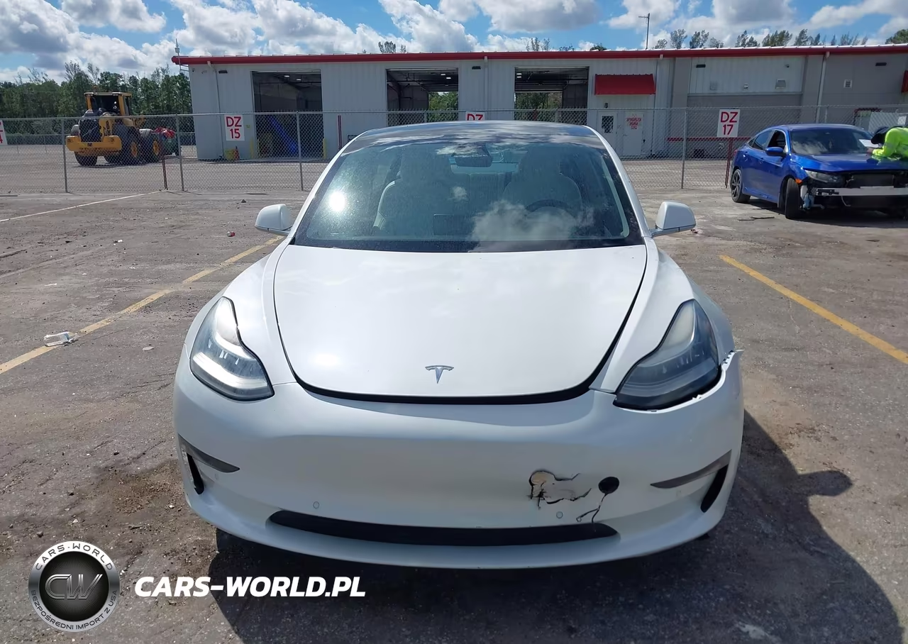 2020 Tesla Model 3 Standard Range Plus Rear-Wheel Drive-Standard Range Rear-Wheel Drive VIN:5YJ3E1EA1LF718197 - 6