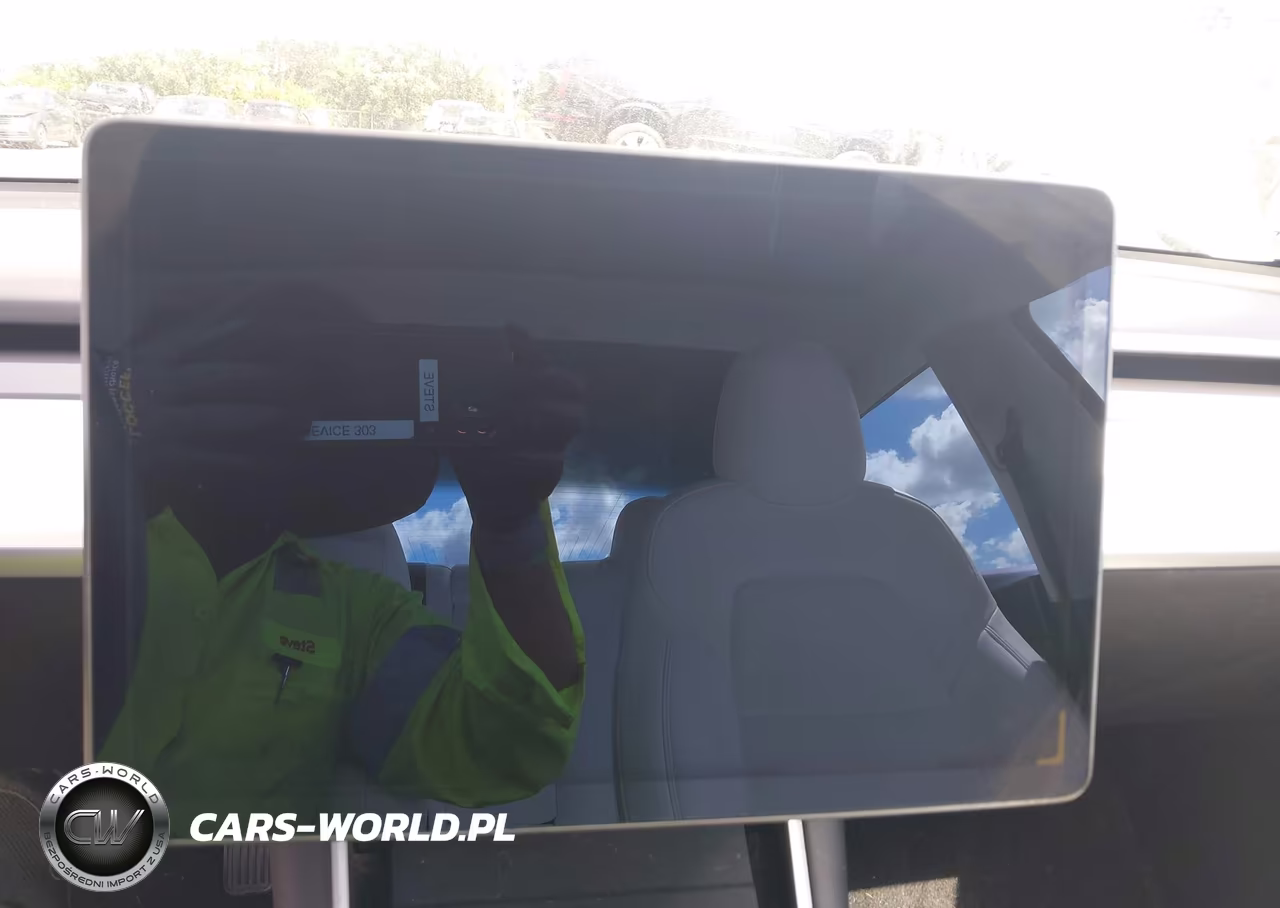 2020 Tesla Model 3 Standard Range Plus Rear-Wheel Drive-Standard Range Rear-Wheel Drive VIN:5YJ3E1EA1LF718197 - 7