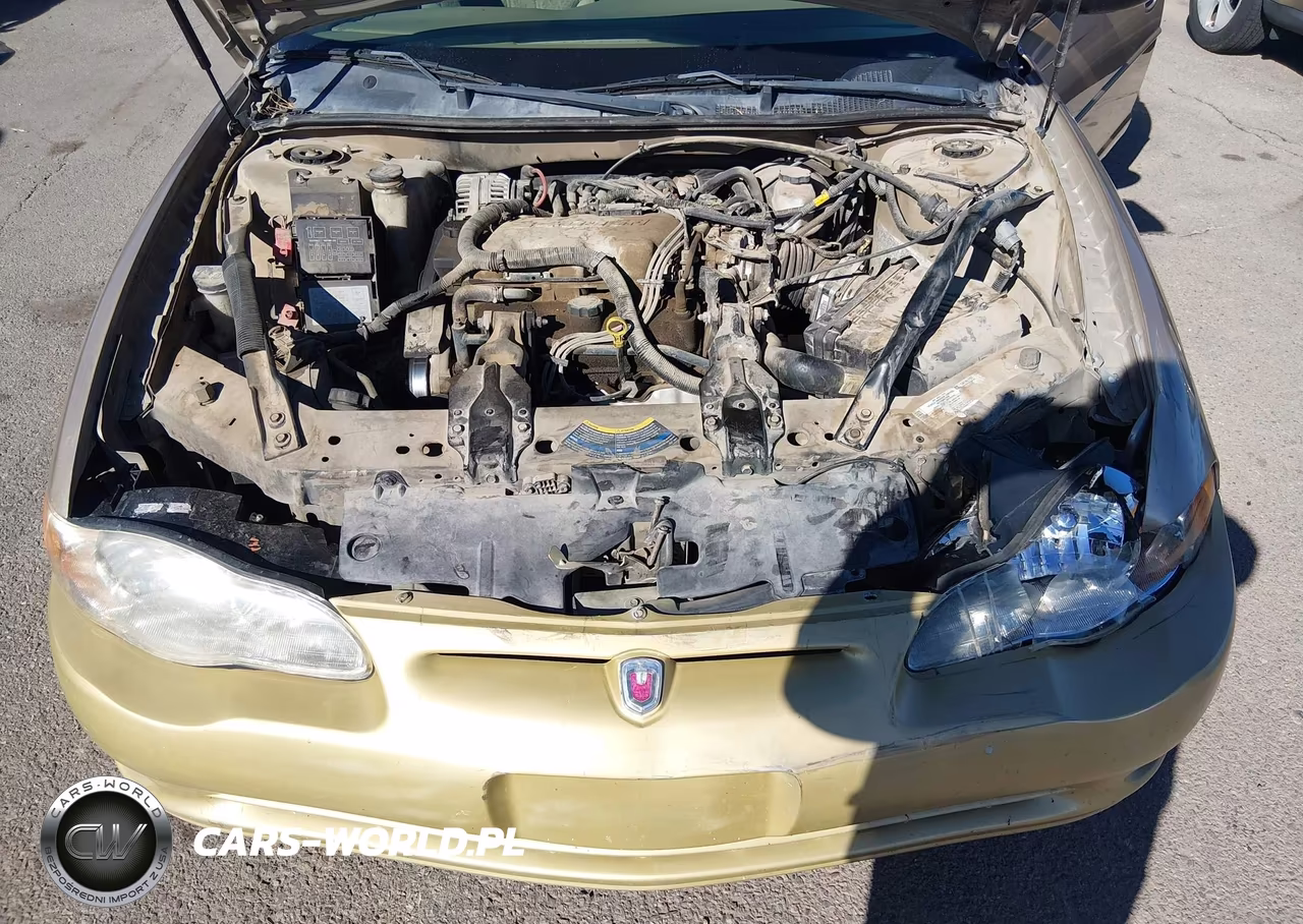 2004 Chevrolet Monte Carlo Ls VIN:2G1WW12E049207922 - 10