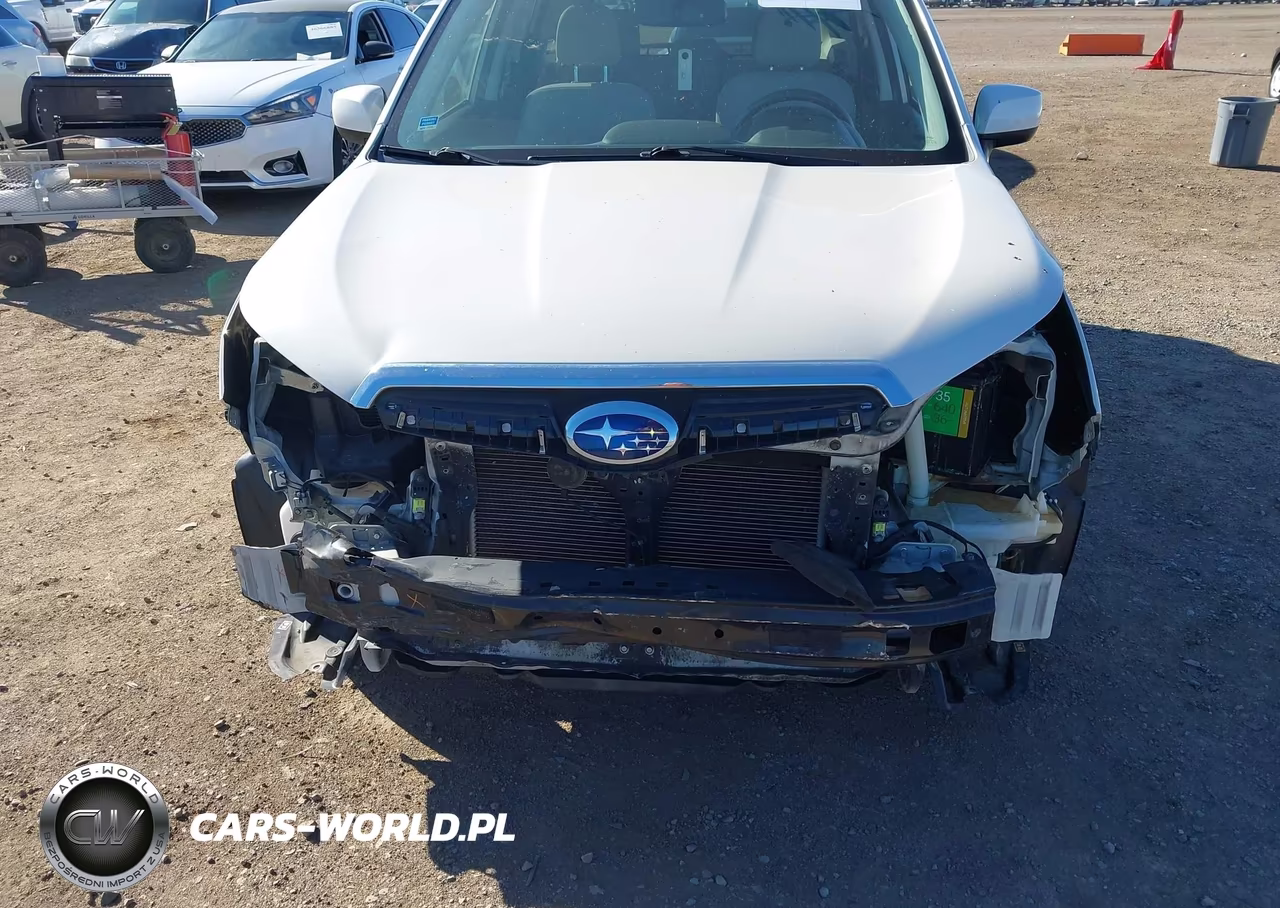 2015 Subaru Forester 2.5I Premium VIN:JF2SJAGC0FH411406 - 6