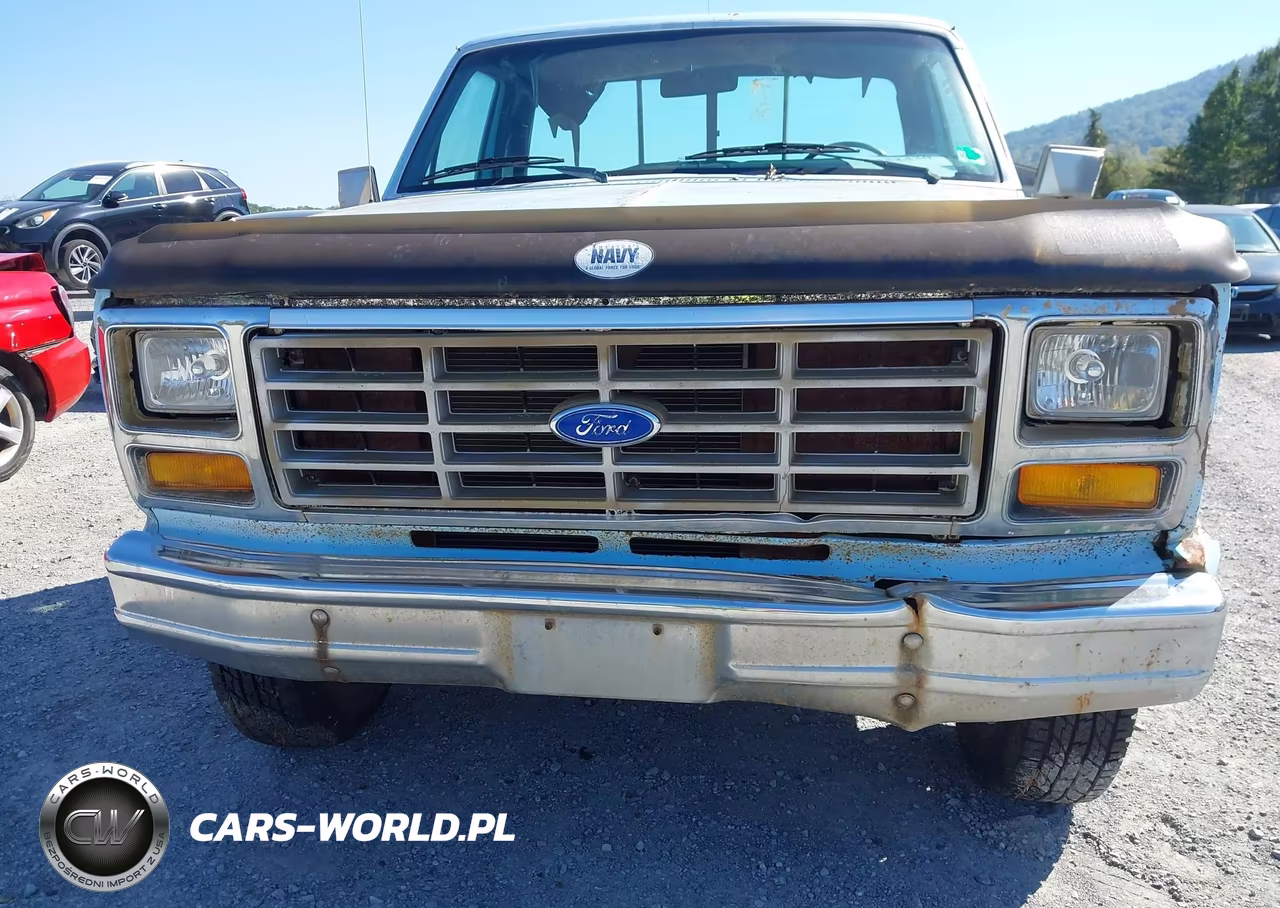 1982 Ford F150 VIN:1FTDF14EXCUA09975 - 12