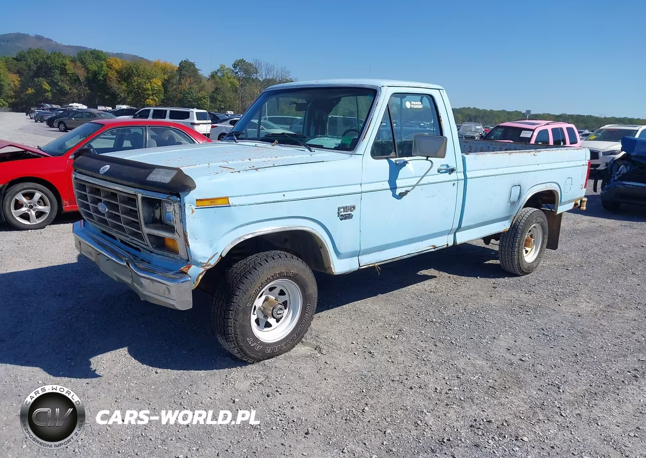 1982 Ford F150 VIN:1FTDF14EXCUA09975 - 2