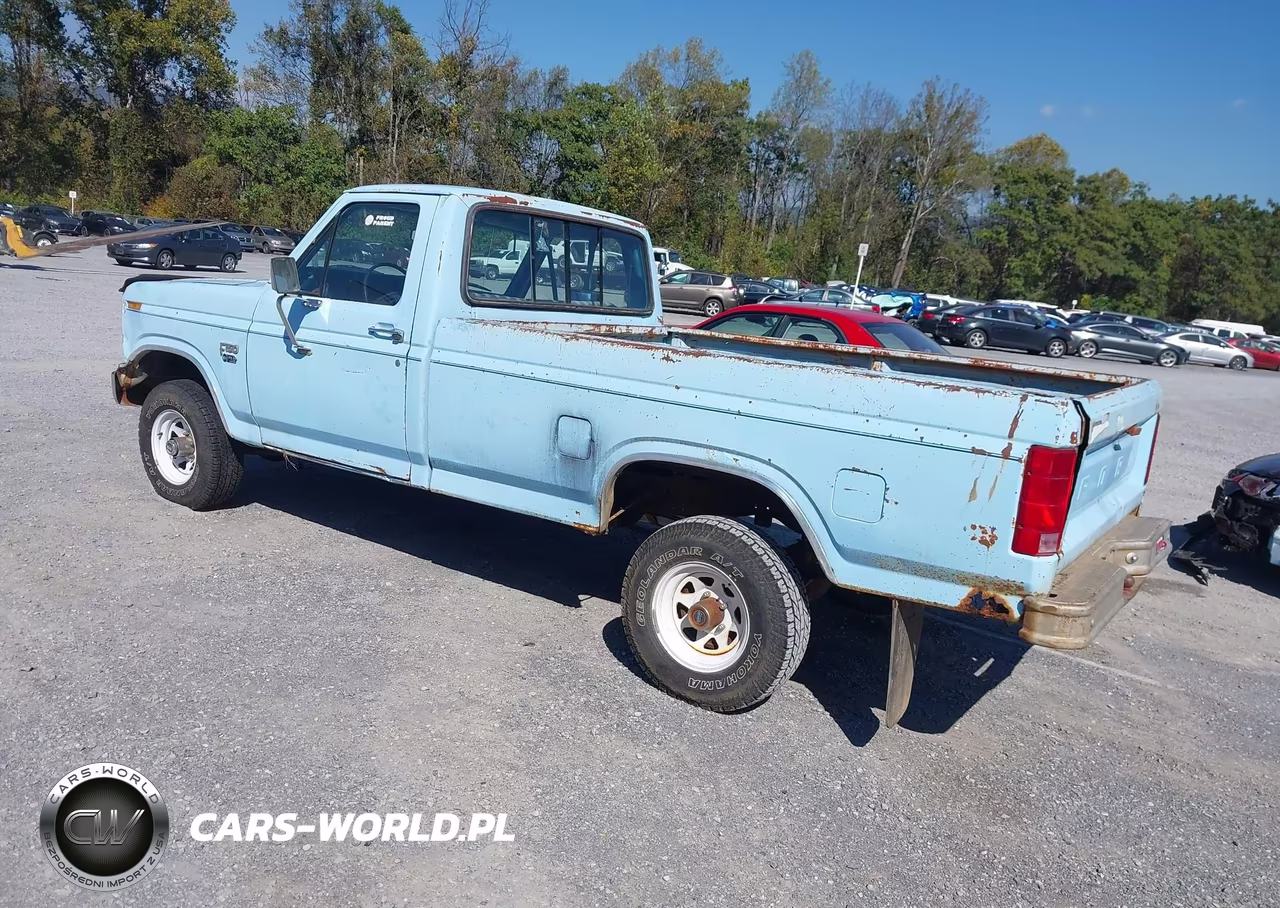 1982 Ford F150 VIN:1FTDF14EXCUA09975 - 3