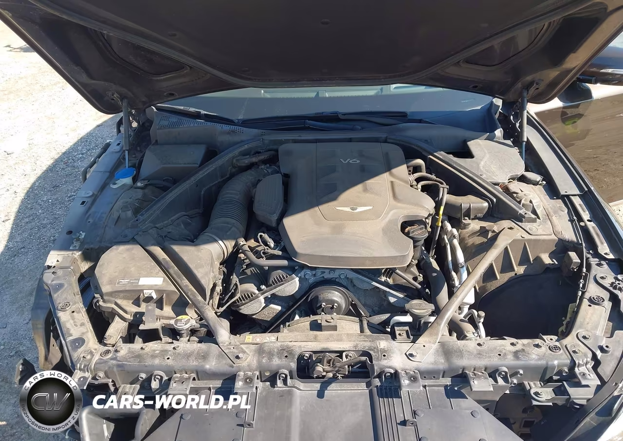 2017 Genesis G80 3.8 VIN:KMHGN4JE6HU167075 - 10