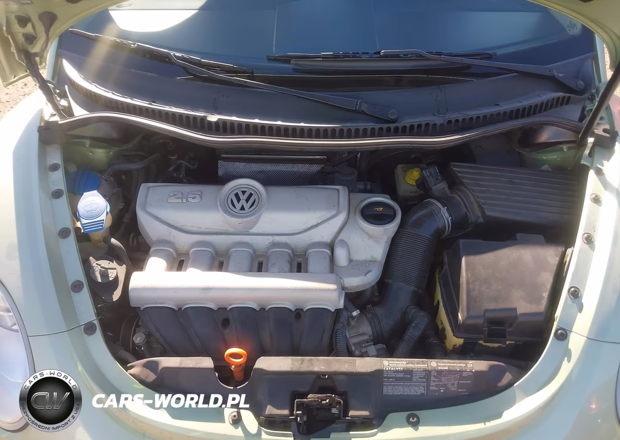 2006 Volkswagen New Beetle 2.5 VIN:3VWPG31C06M403368 - 10
