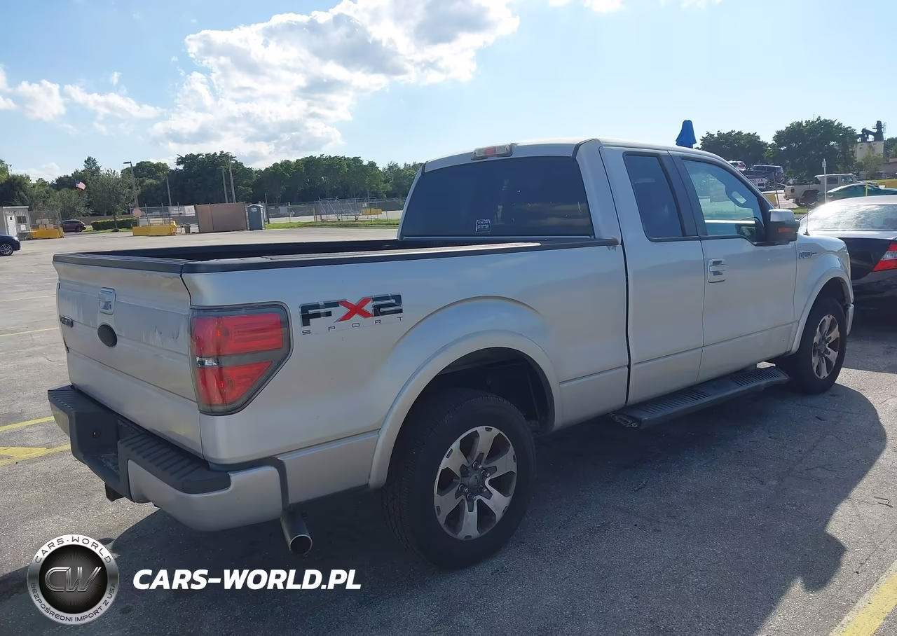 2010 Ford F-150 Fx2 Sport-Stx-Xl-Xlt VIN:1FTEX1C89AKE48378 - 4