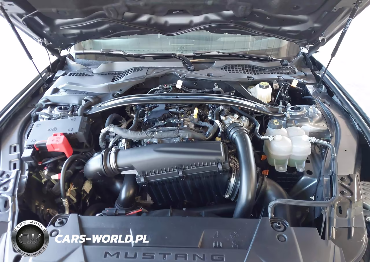 2025 Ford Mustang Ecoboost Premium VIN:1FAGP8UH7S5105705 - 10