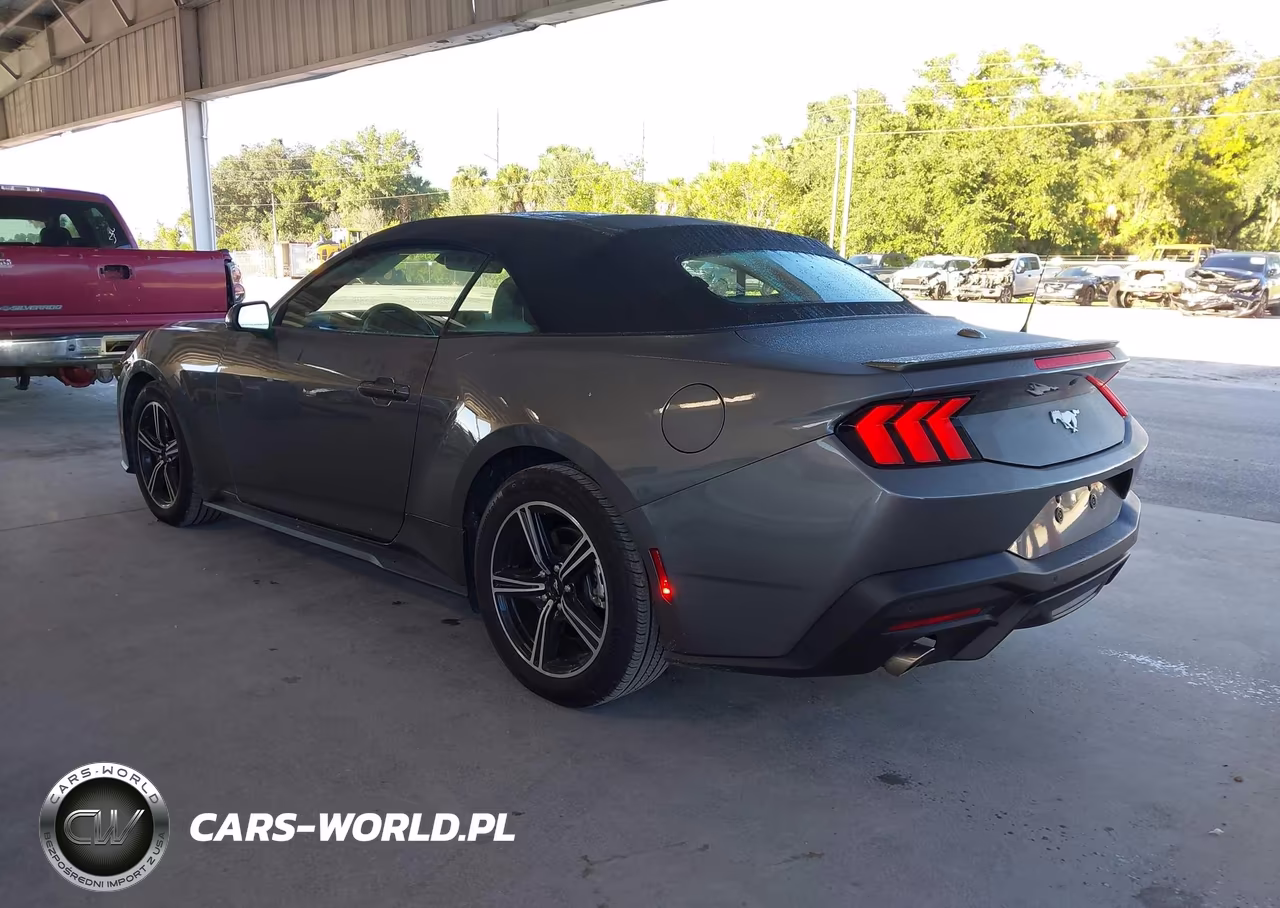 2025 Ford Mustang Ecoboost Premium VIN:1FAGP8UH7S5105705 - 3