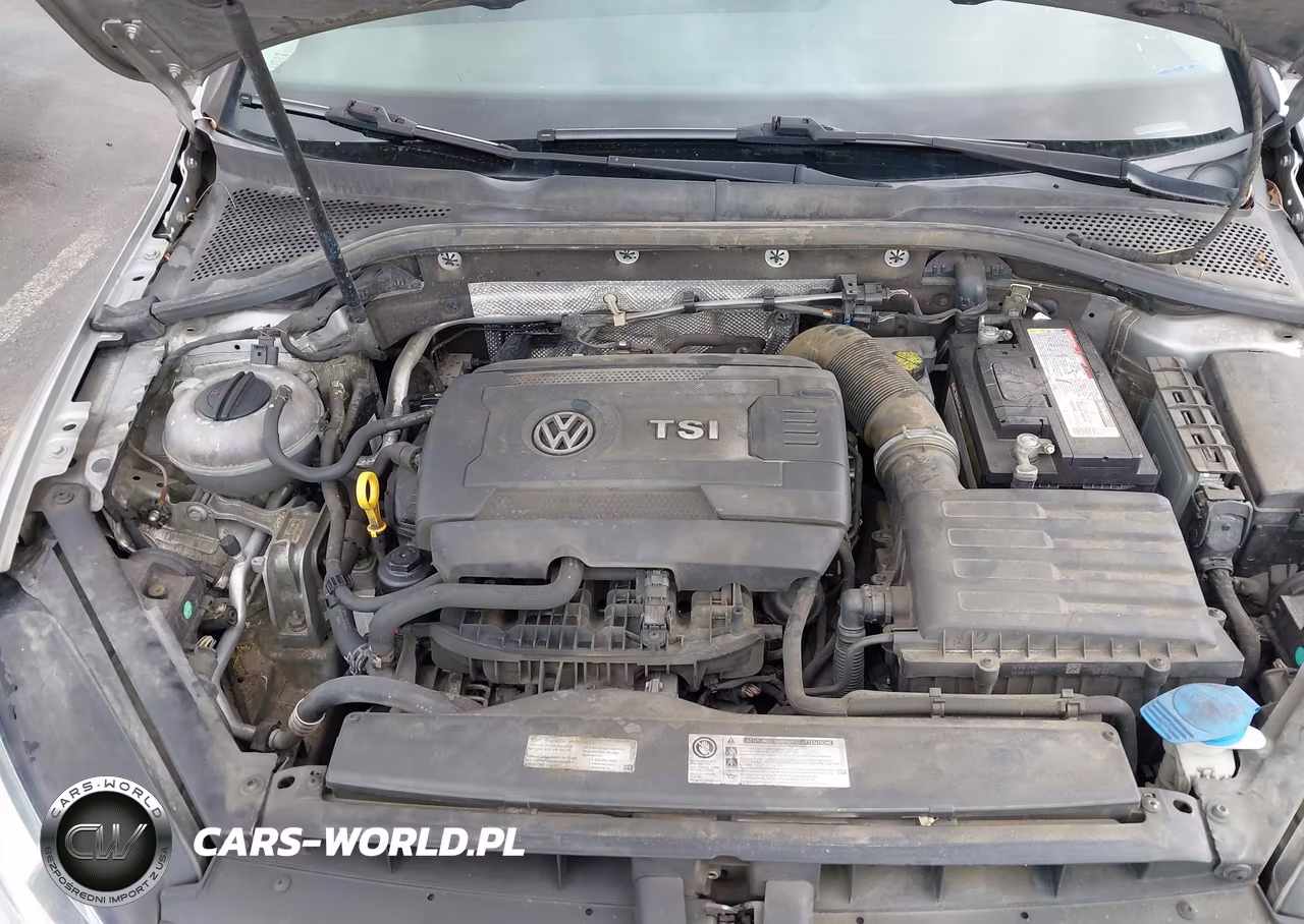 2016 Volkswagen Golf Tsi S 4-Door VIN:3VW217AU9GM011034 - 10