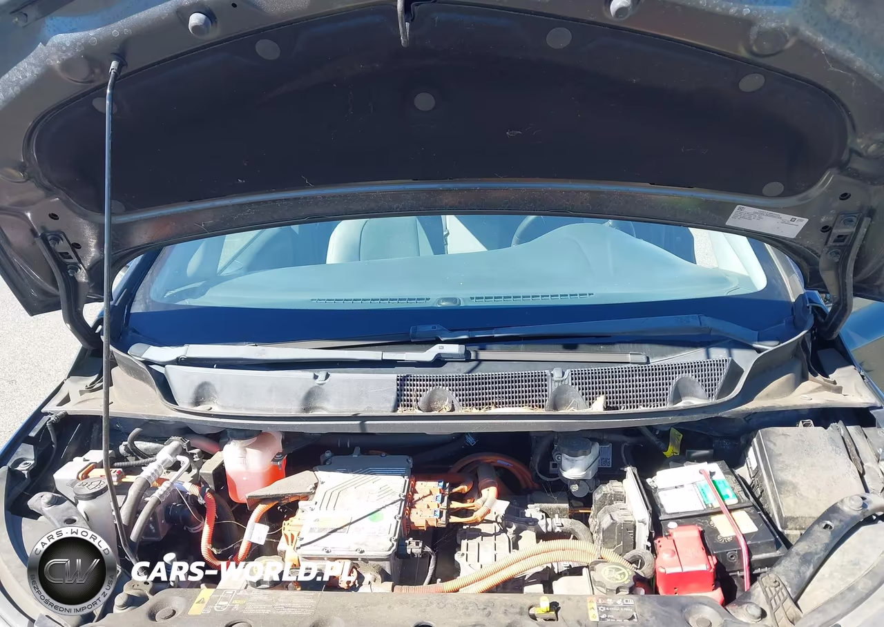 2017 Chevrolet Bolt Ev Lt VIN:1G1FW6S03H4176109 - 10