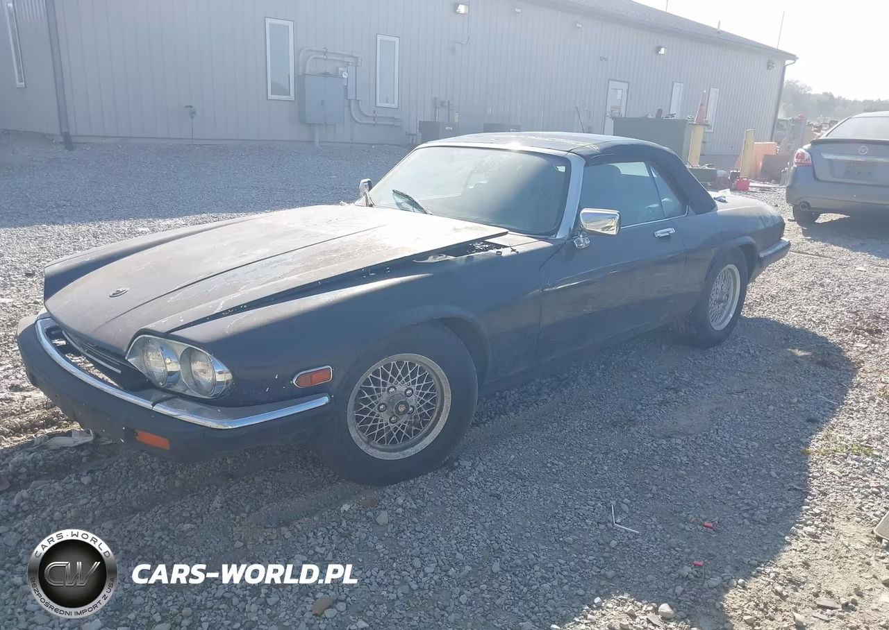 1989 Jaguar Xjs VIN:SAJNV4842KC154542 - 2