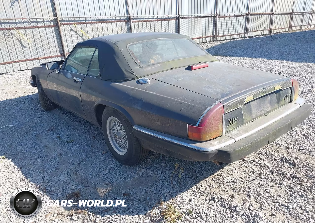 1989 Jaguar Xjs VIN:SAJNV4842KC154542 - 3