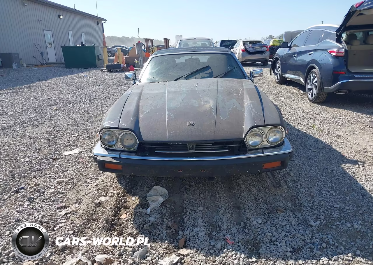 1989 Jaguar Xjs VIN:SAJNV4842KC154542 - 6