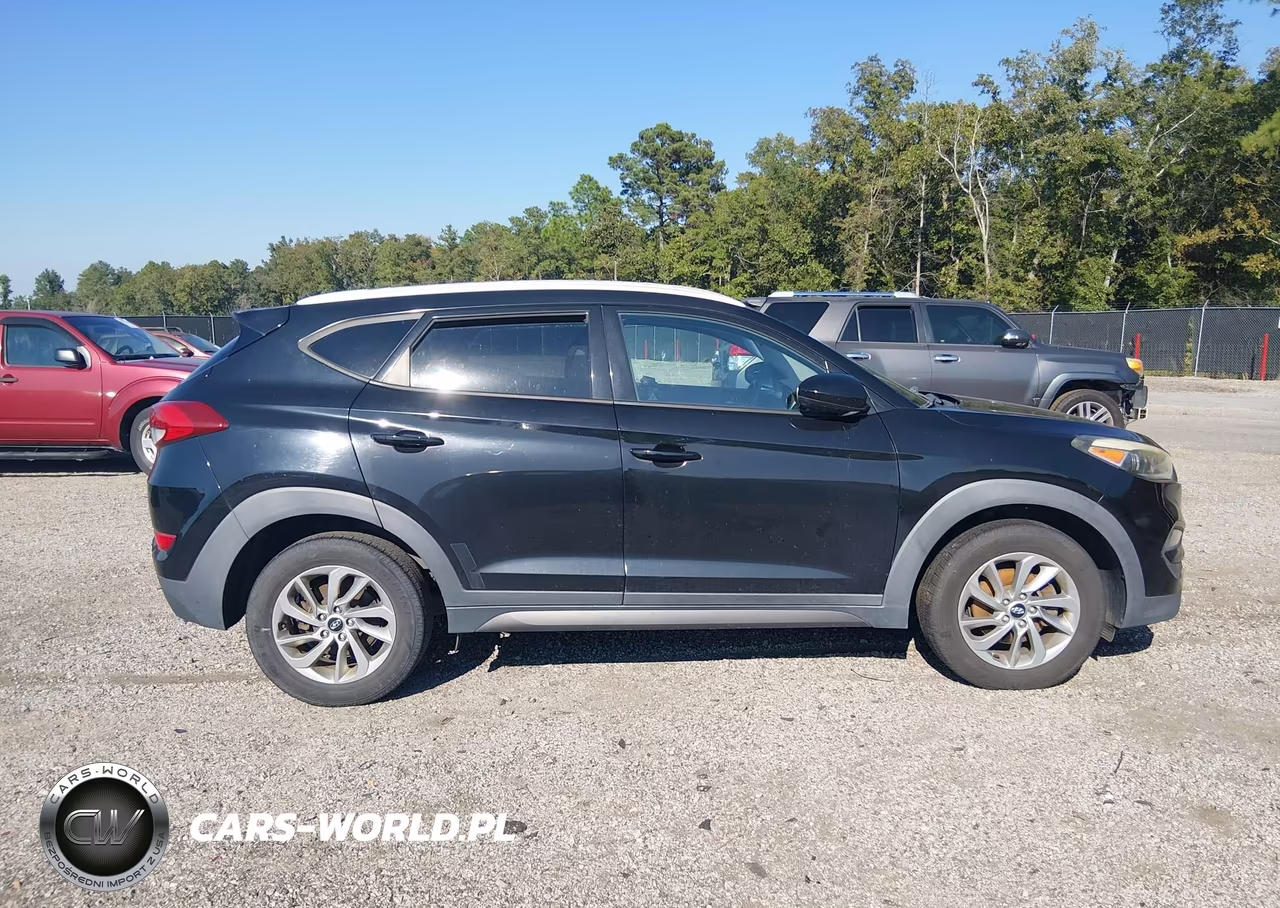 2016 Hyundai Tucson Se VIN:KM8J3CA41GU253146 - 13