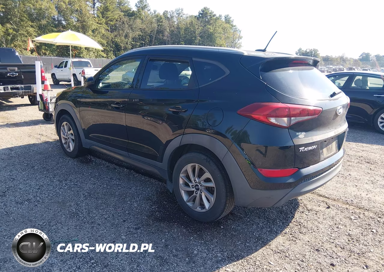 2016 Hyundai Tucson Se VIN:KM8J3CA41GU253146 - 3