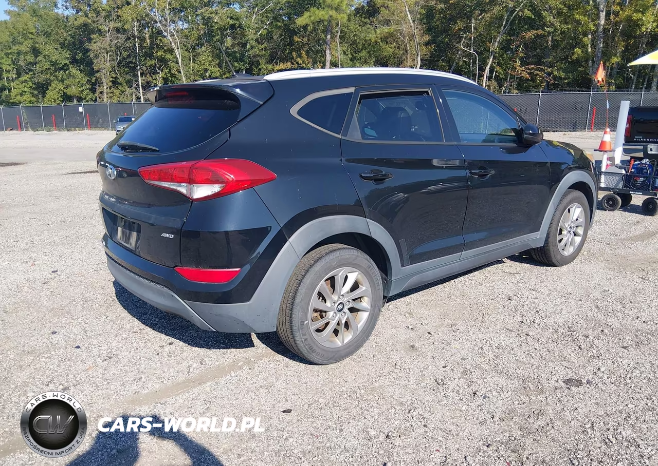 2016 Hyundai Tucson Se VIN:KM8J3CA41GU253146 - 4