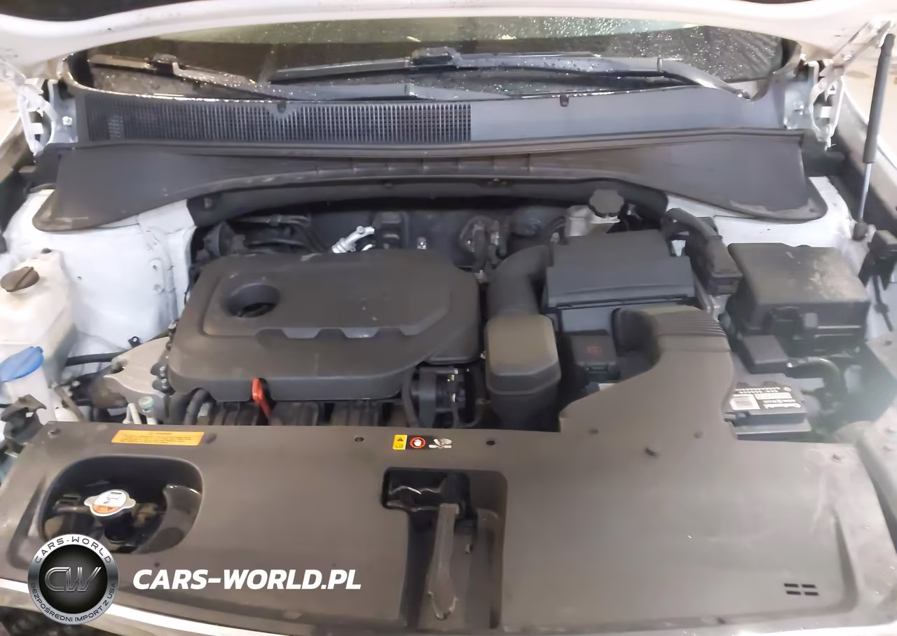 2017 Kia Sorento 2.4L Lx VIN:5XYPGDA34HG253712 - 10