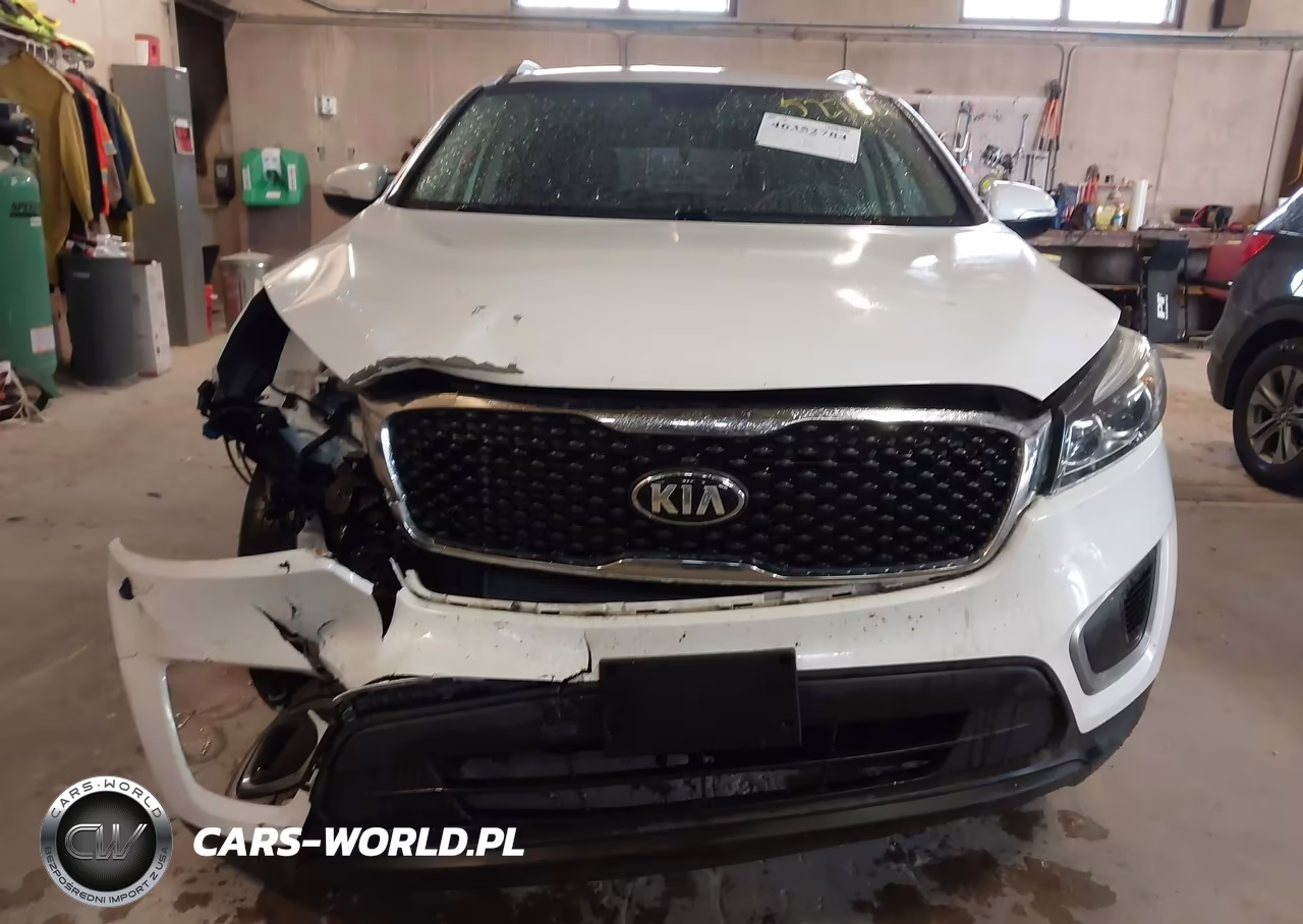 2017 Kia Sorento 2.4L Lx VIN:5XYPGDA34HG253712 - 13