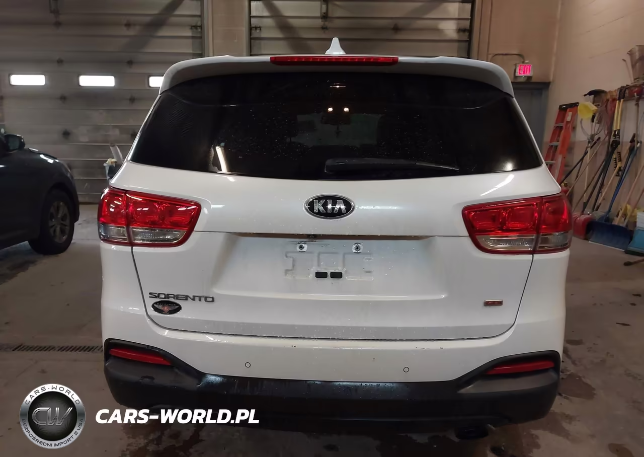 2017 Kia Sorento 2.4L Lx VIN:5XYPGDA34HG253712 - 17