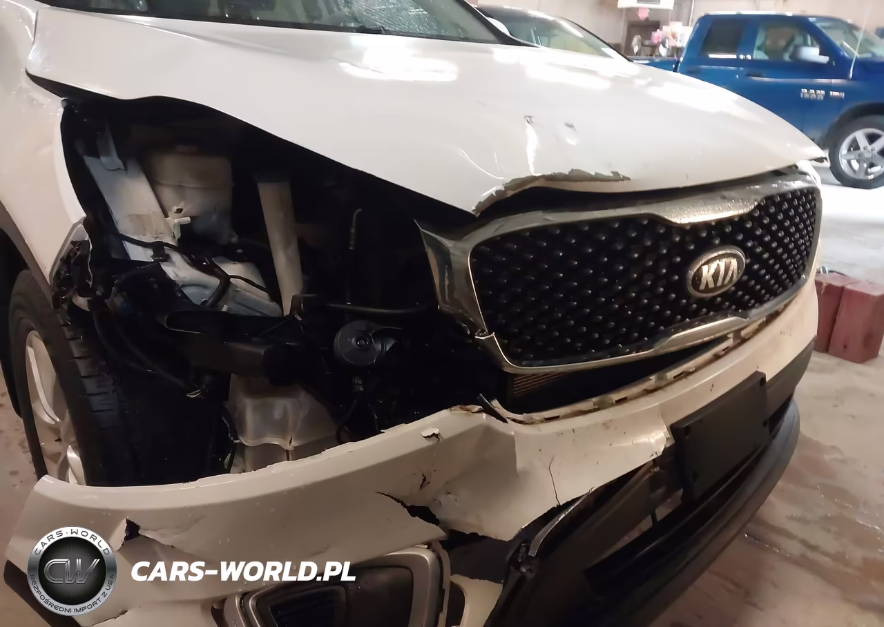 2017 Kia Sorento 2.4L Lx VIN:5XYPGDA34HG253712 - 18