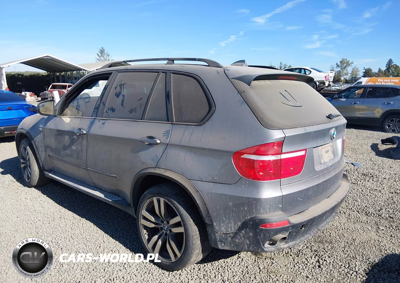 2010 BMW X5 xDrive35D VIN:5UXFF0C59ALT77389 - 3