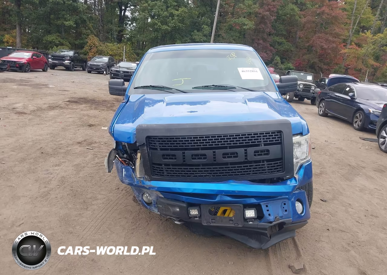 2012 Ford F-150 Stx VIN:1FTFX1EF0CFA82595 - 12