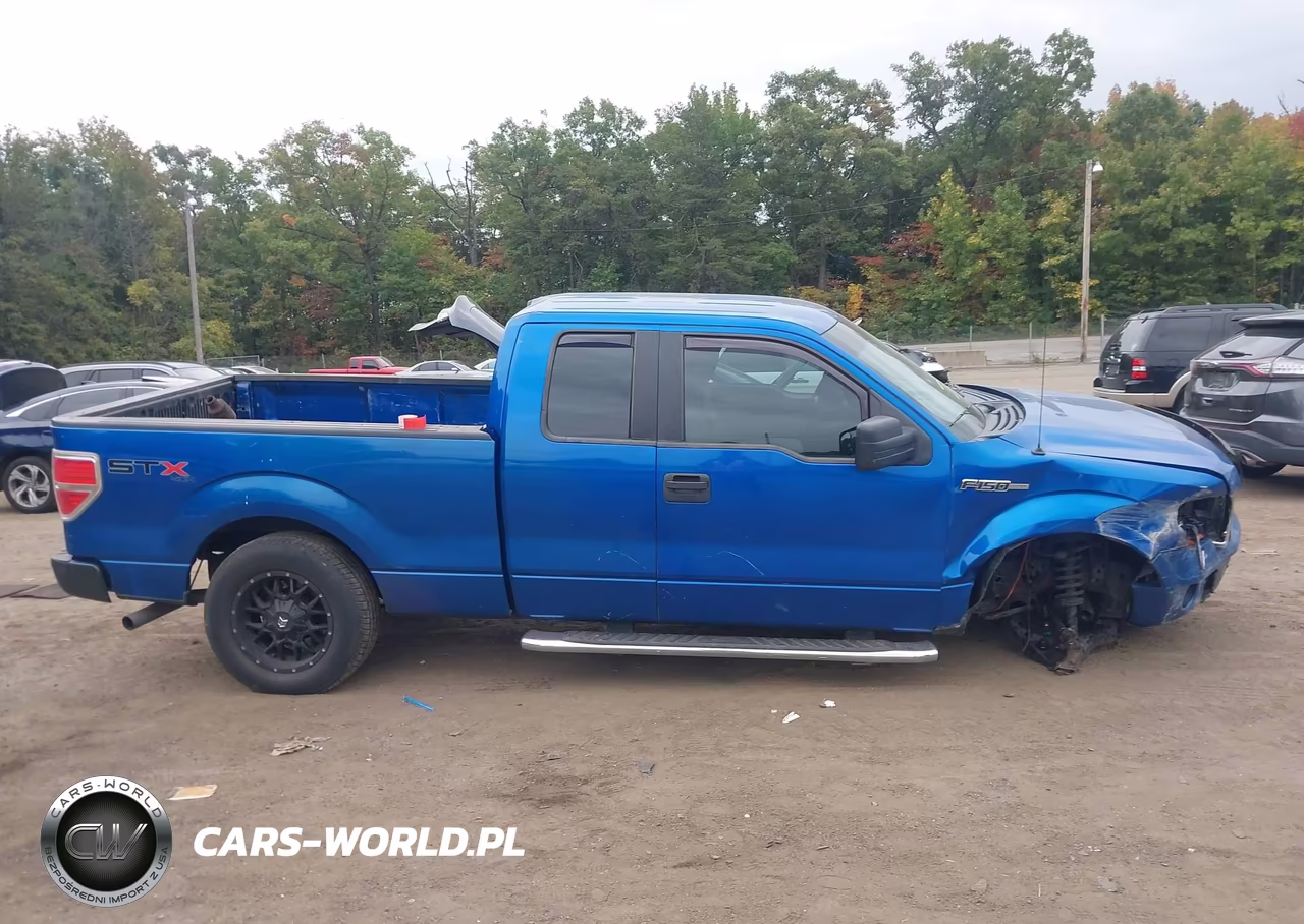 2012 Ford F-150 Stx VIN:1FTFX1EF0CFA82595 - 13
