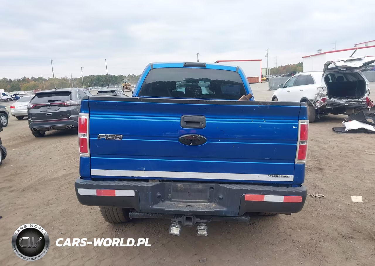 2012 Ford F-150 Stx VIN:1FTFX1EF0CFA82595 - 16