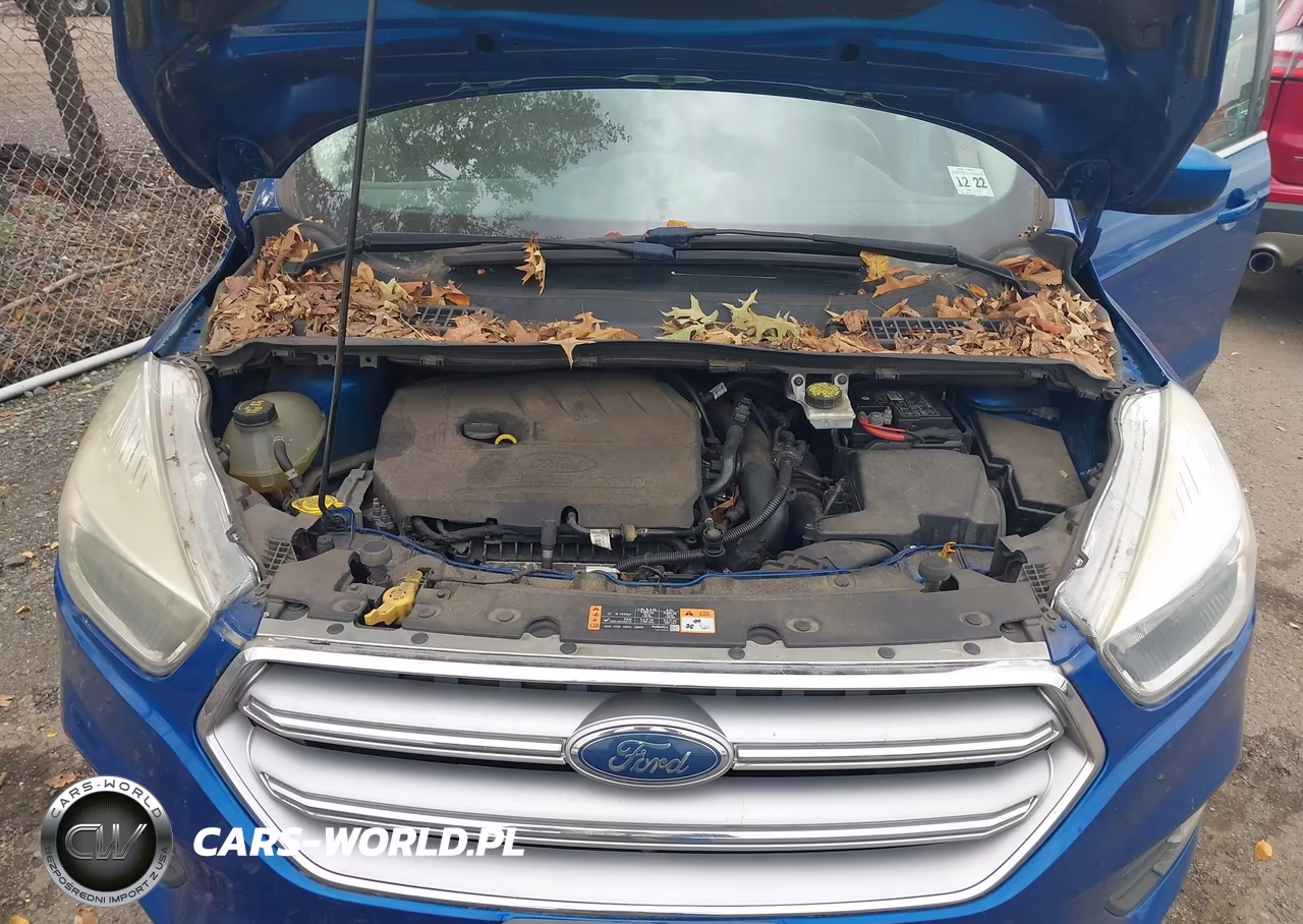 2017 Ford Escape Se VIN:1FMCU0GD8HUD94180 - 10