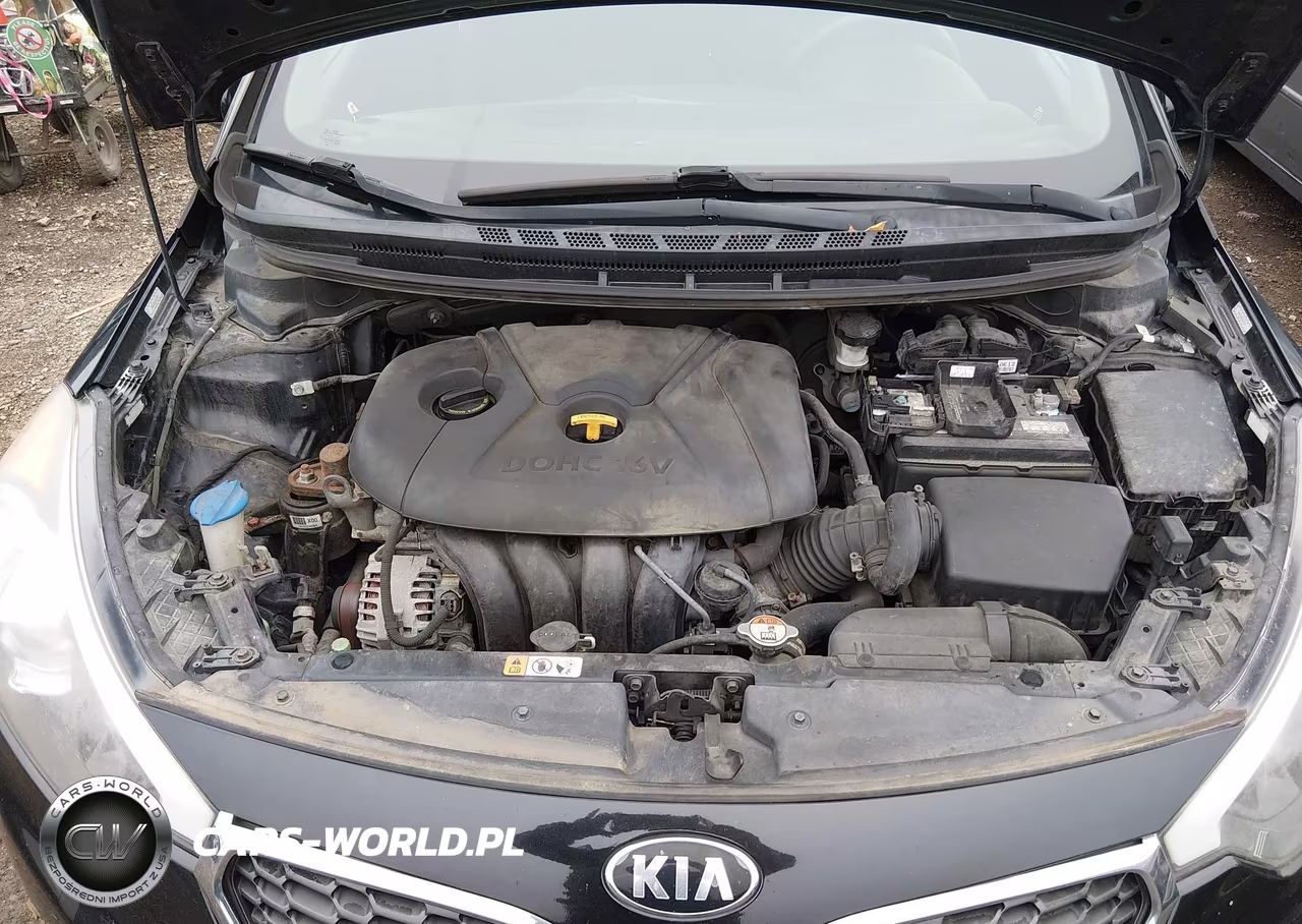 2016 Kia Forte Lx VIN:KNAFK4A63G5611911 - 10