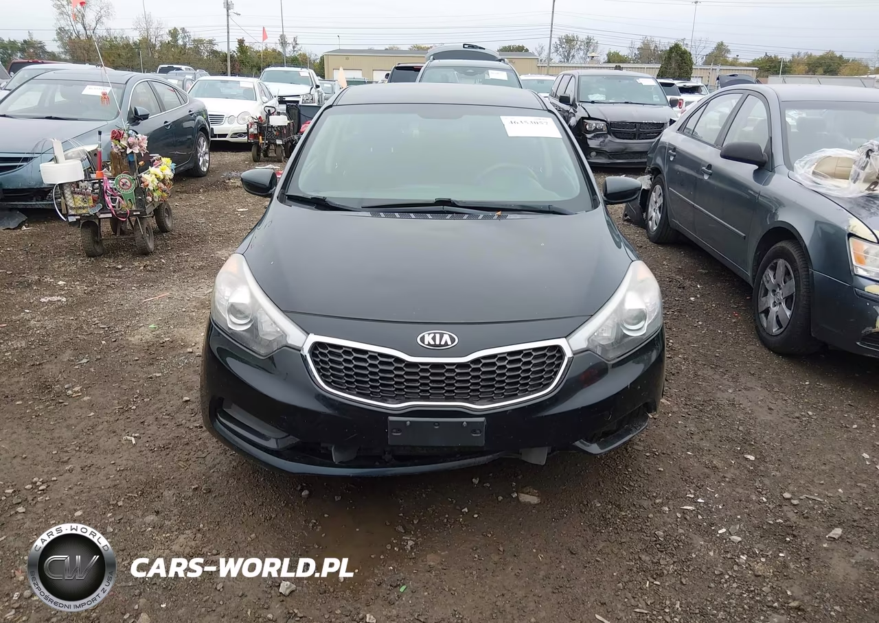 2016 Kia Forte Lx VIN:KNAFK4A63G5611911 - 12