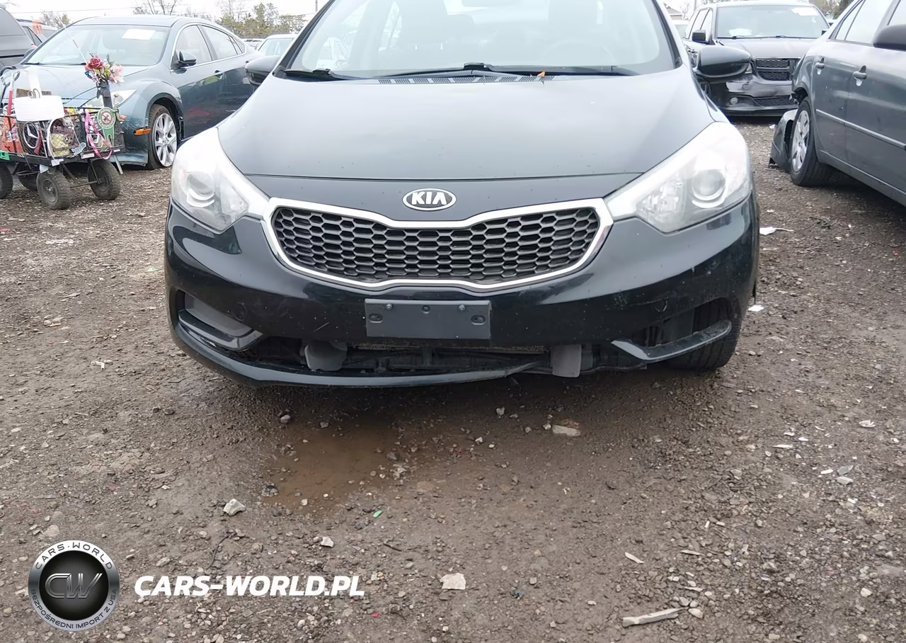 2016 Kia Forte Lx VIN:KNAFK4A63G5611911 - 17