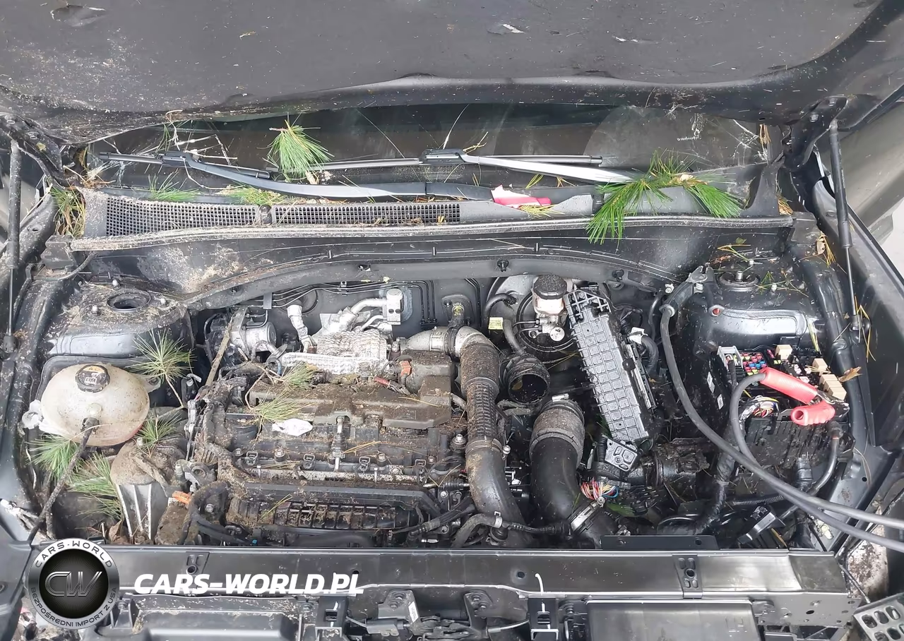 2022 Hyundai Santa Fe Calligraphy VIN:5NMS54AL0NH373475 - 10