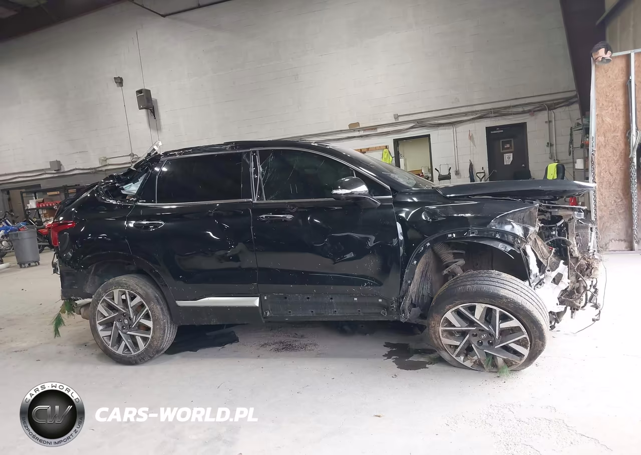 2022 Hyundai Santa Fe Calligraphy VIN:5NMS54AL0NH373475 - 13