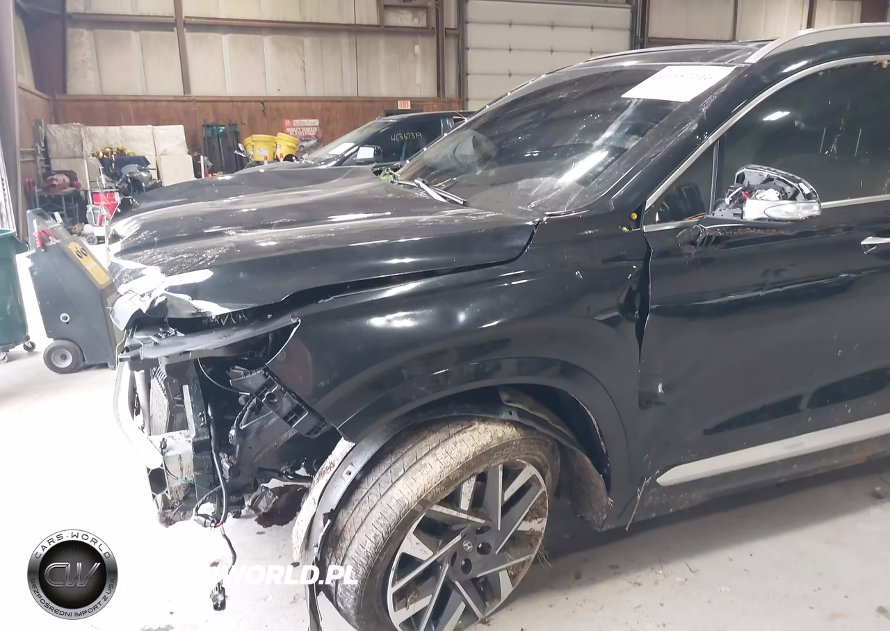 2022 Hyundai Santa Fe Calligraphy VIN:5NMS54AL0NH373475 - 19