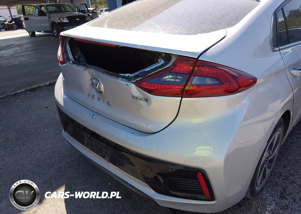 2018 Hyundai Ioniq Hybrid Sel VIN:KMHC75LC9JU087527 - 6