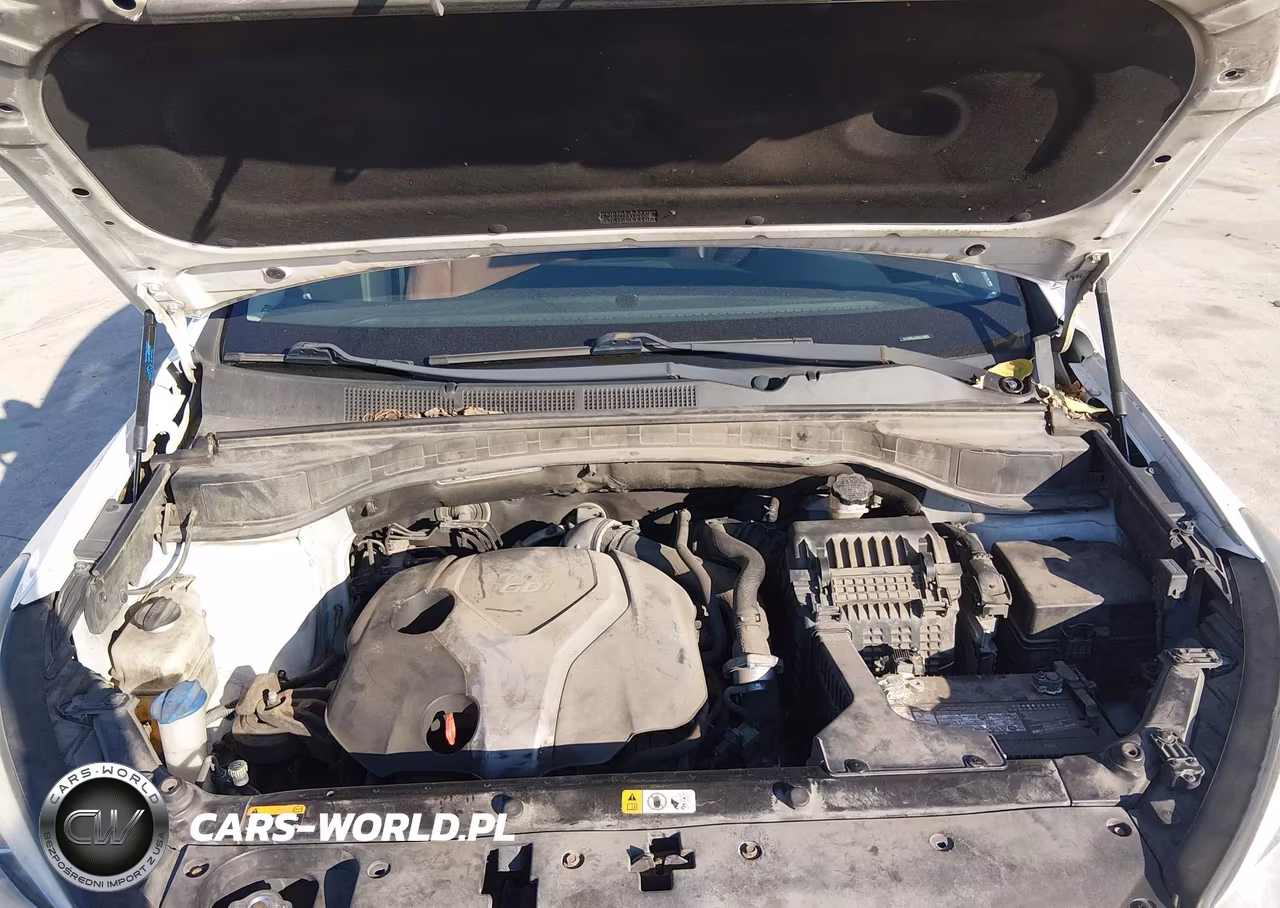 2014 Hyundai Santa Fe Sport 2.0L Turbo VIN:5XYZW3LA3EG178983 - 10